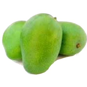 Gujjjukhaana mango Rajauri